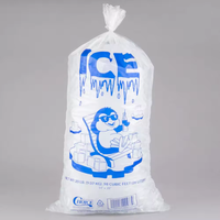Sac Cube jetable transparent nouvellement publié impression personnalisée 10Kg et 5Kg sacs de glace à cordon pour emballage alimentaire