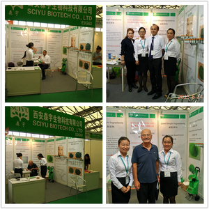 Chất làm ngọt <span class=keywords><strong>Stevia</strong></span> chiết xuất bột stevioside 98% chất làm ngọt <span class=keywords><strong>Stevia</strong></span> chiết xuất - Product Image 5