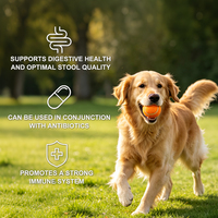 Richtek Supply - Probiotiques digestifs pour animaux de compagnie, étiquette privée personnalisée, vente en gros, supplément nutritionnel pour animaux de compagnie en vrac, pour tous les âges