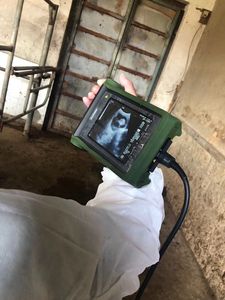 Lethealth di động cầm tay thú y Thiết bị giám sát giá rẻ siêu âm với tuyến tính trực tràng thăm dò cho ngựa gia súc sử dụng - Product Image 2