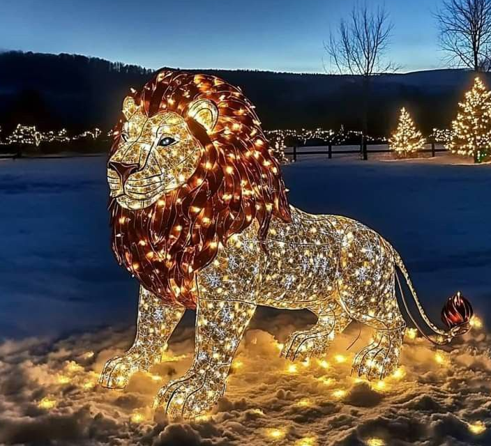 LED Theme Light Festival Large Outdoor Light Decoration Street Grassland Decoration Luxury Lighting