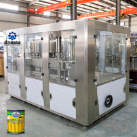 Fabrieksleverancier Eenvoudig te bedienen machine voor het vullen en sealen van ingeblikte fruit en ingeblikte ananas