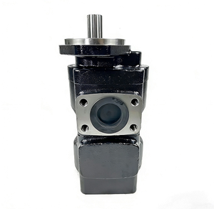 Pompe hydraulique simple en fer de la série 332/F9030 avec arbre à clavettes 20/912800 et 7029122001, et les pièces 20/925580 et 7029120048 Core Adv - Product Image 1
