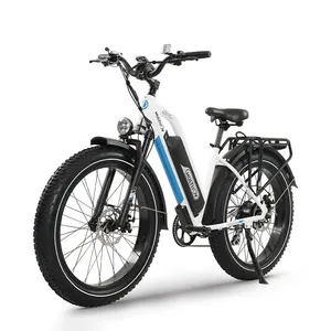 原装陀螺仪专业道路电动自行车48V20Ah 750W 26英寸大轮自行车Ebike，出厂价格有现货