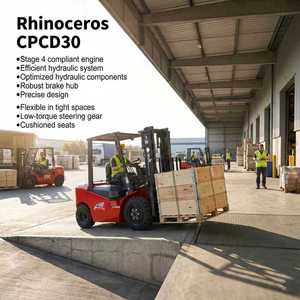 Chinese gemaakte Rhinoceros diesel heftruck CPCD30 met mast en reserveonderdelen te koop - Product Image 2