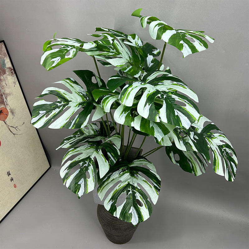 18 têtes blanc feuille de monstera (sans pot)