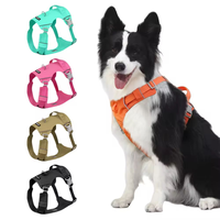 Harnais et laisse pour chien en nylon robuste, design léger et respirant, avec des caractéristiques réglables et confortables