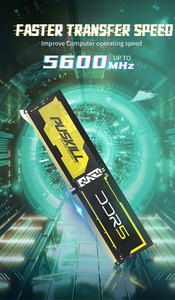 Puskill độ trễ thấp chơi game DDR5 4800MHz 5600MHz 16GB 32GB <span class=keywords><strong>Ram</strong></span> Bộ nhớ <span class=keywords><strong>RAM</strong></span> DDR5 <span class=keywords><strong>Ram</strong></span> cho máy tính để bàn - Product Image 2