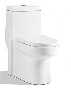 319 one piece toilet