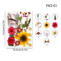 Nouvel Arrivage en Gros de Fleurs Séchées Naturelles Pressées Colorées pour Résine Botanique, Nail Art, Mariage, Pâques, Marque-pages et Fournitures d'Artisanat DIY