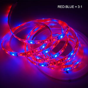 Indoor LED Plant Grow Strip <b>Lights</b> 5 Meter Waterproof 12V Full Spectrum Flexible <b>Light</b> for Hydroponic Greenhouse Home Use - Product Image 3