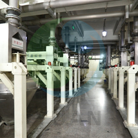 Ligne de production automatique d'amidon de maïs, équipement de transformation industrielle, performance stable