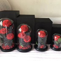 Boîte cadeau de la Saint-Valentin Belle Enchanted avec rose naturelle, fleurs éternelles, rose éternelle dans un dôme en verre avec LED