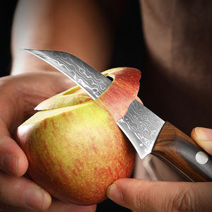 سكينة صغيرة منحنية من الفولاذ الدمشقي منقار طائر دمشقي - Product Image 4