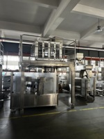 Machine d'emballage rotative R8-300 à 8 stations pour sachets préformés, avec fonctions de prélèvement, d'ouverture, de remplissage et de scellage automatiques, pour aliments surgelés, fruits secs et condiments