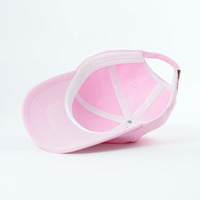 Hoge kwaliteit 6-panel pet, lage profiel pet, geborduurd logo, katoen, sport, outdoor, aanpasbaar, gebogen klep