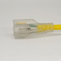 Câble d'extension étanche à l'eau avec embout lumineux 5-15P à 5-15R, robuste, 3 broches, pour usage domestique et professionnel, type de fil SJTW