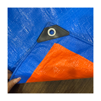 Feuille en plastique imperméable de bâche de PE de polyéthylène à haute densité enduite par couleur bleue Offres Spéciales pour l'auvent de camion extérieur