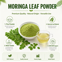 100% Bubuk Ekstrak Daun Moringa Alami Premium Kelas Makanan yang Diekstraksi dengan Pelarut untuk Nutrisi Harian dalam Jumlah Besar