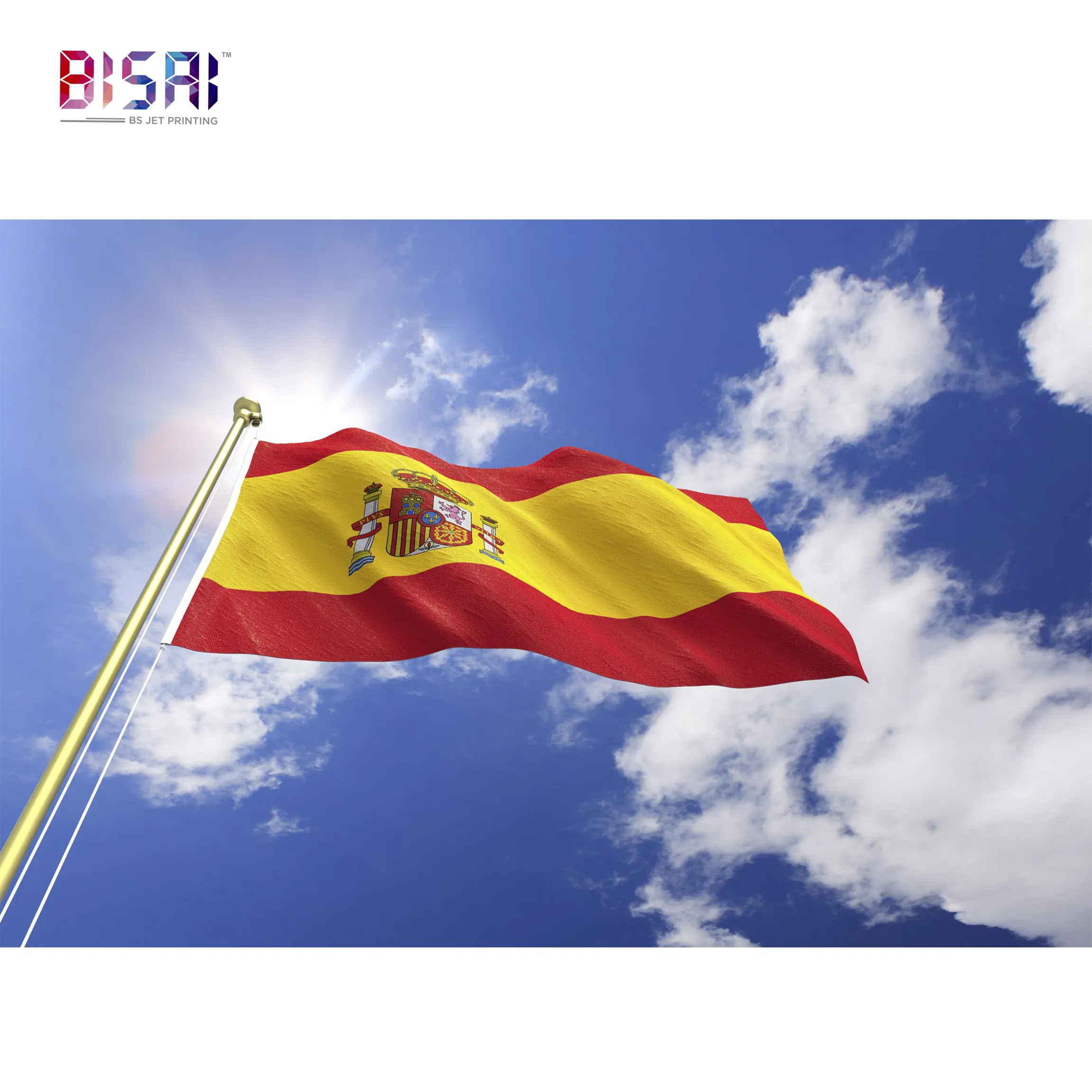 卸売カスタム屋外長方形スペインすべての国と名前画像国旗