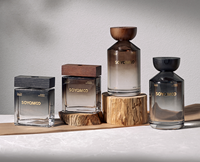 Diffuseur à bâtonnets de luxe longue durée (2 mois) en verre sans BPA, écologique, pour huiles essentielles, usage domestique intérieur, relaxant et apaisant