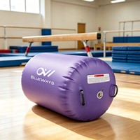 Vente en gros de baril gonflable de gymnastique pour enfants et adolescents, piste de tumbling gonflable de 80 cm à 120 cm avec gonfleur, usine OEM, CE BSCI