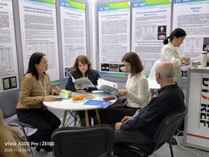 Poudre et granulés de kyanite à faible teneur en impuretés, matière première réfractaire de qualité supérieure largement utilisée dans l'industrie réfractaire et la fonderie - Product Image 5