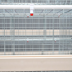 Lồng nuôi gà mới, dành cho gà đẻ trứng và gà thịt, kiểu chuồng trại chăn nuôi, hiện đang bán. - Product Image 2