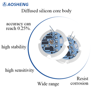 جهاز إرسال مستوى السوائل الهيدروستاتيكي ذو الغشاء البعيد المبطن بالتفلون بدقة 0.5% - Product Image 4