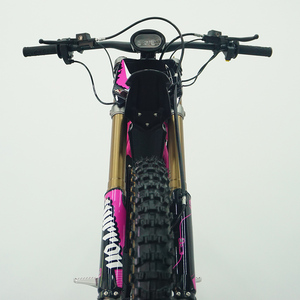 2025 Surron <b>Light</b> X 60V Road Lbx Dirt Bike Cheap Sale Mountain Bike Ready <b>Light</b> Bee X <b>Light</b> Bee X - Product Image 5