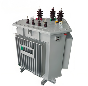 Transformador S13 Sumergido en Aceite con Certificación CE, 30-2500kVA, 10kV/35kV, Trifásico, Aleación Amorfa, Baja Pérdida, 50/60Hz, Toroidal - Product Image 1