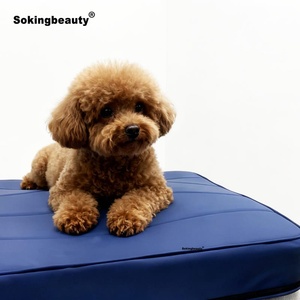 Innovativa Loop PEMF per il Benessere degli Animali, Cura del Corpo del Cane, Salute del Gatto, Apparecchiatura per Terapia a Campo Elettromagnetico Pulsato - Product Image 1