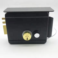 Serrure de porte principale extérieure de sécurité intelligente interphone sans clé contrôle d'accès 12V serrure de jante de porte électrique à Double cylindre avec housse de pluie