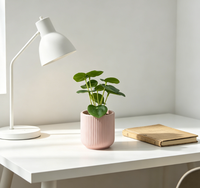 Plantes succulentes artificielles en plastique vertes pour la décoration de bureau et de maison, mini 16 cm, écologiques, pour la remise des diplômes