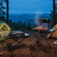 Barbecue d'extérieur portable de petite taille à gaz pour jardin, fabriqué en Chine