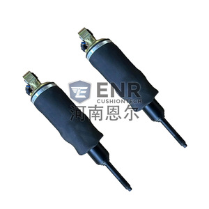 Amortisseur Enr Cushiontech 34857-00030 pour remplacement de suspension de camion Daewoo Tata - Product Image 4
