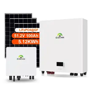 Lithium Ion Lifepo4 Batterij Zonne-Energie Opslag Power Muur Batterij Top Gemonteerd 5kwh 10kwh 48V 51.2V 200ah 100ah Ip65 100a