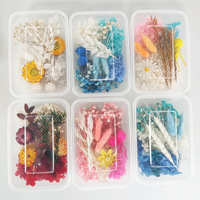 Boîte assortie de fleurs séchées et stabilisées pour l'art, le bricolage, la formation scolaire et la fabrication de couronnes de Noël