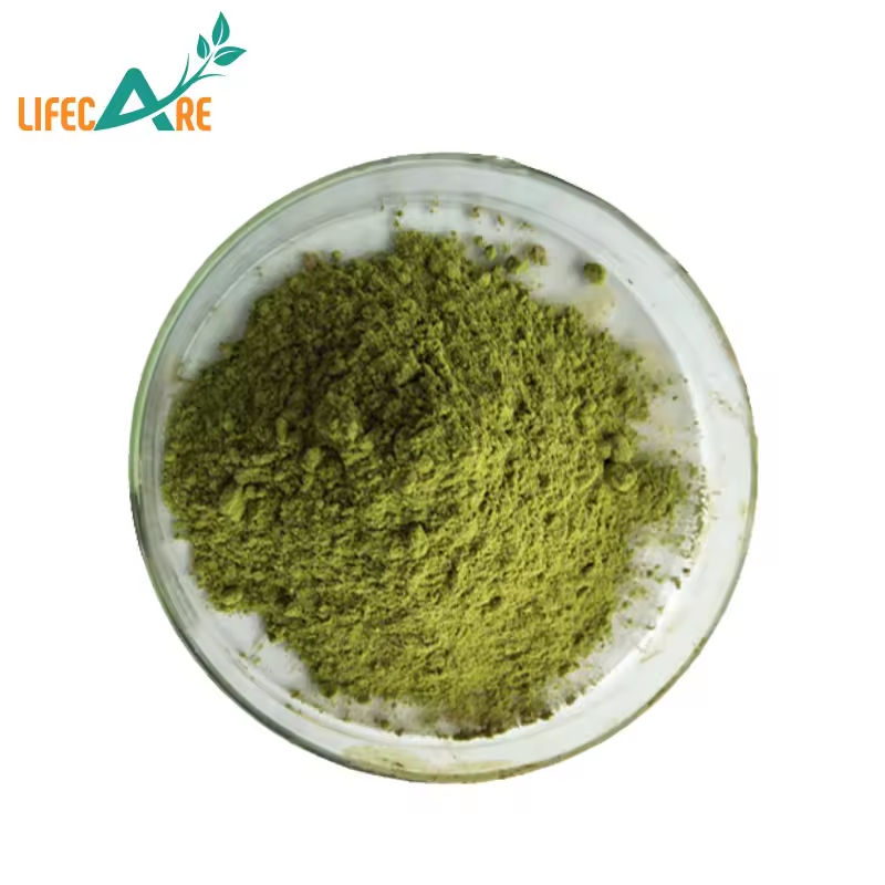 Lifecare Supply Herb Supplement Fresh Broccoli Extract Pure Broccoli Powder