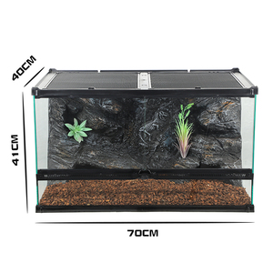 Terrarium à vue panoramique pour reptiles : un habitat idéal pour les animaux exotiques - Product Image 3