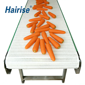Lebensmittelechte Flachgitter-Modulbandförderer für Obst- und Gemüseverarbeitungslinien - Product Image 1