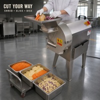 Commerciële automatische groente- en fruitsnijder, sinaasappel- en uienhakselaar, wortelblokjes-snijder, aardappelsnijder, koolsnijmachine