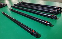Vérin hydraulique à double effet pousser/tirer pour portes lourdes, course personnalisable 700/600 mm avec groupe hydraulique compact