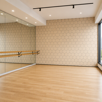 Panneau Acoustique Mural en Feutre PET Rainuré en V, 12mm, Absorption Sonore, pour Théâtre, Auditorium et Décoration de Bar Jazz - Remise en Gros