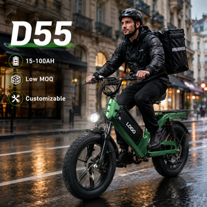 Bicicleta Eléctrica de Carga D55, 48V, Llanta Gruesa de 20 Pulgadas, Freno de Disco, Cuadro de Aluminio, Personalizable, MOQ Bajo - Product Image 1