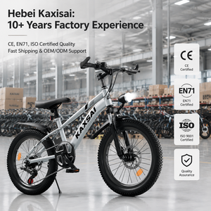 Wholesale Children's Bicycle 12 <strong>16</strong> 18 20 <strong>Inch</strong> Kids <strong>Bike</strong> for Boys and <strong>Girls</strong> with Training Wheels Safe Dual Brakes Factory Direct - Product Image 5