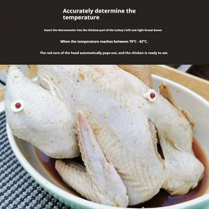 Termômetro de Cozinha Personalizado para Carne, Acessório de Churrasco Portátil e Descartável, Resistente ao Calor - Product Image 4