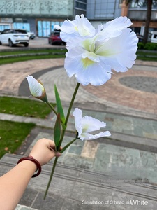 Venta al por mayor nuevo <span class=keywords><strong>IRIS</strong></span> artificial de 3 cabezas púrpura y blanco para jardín decoración de boda flores falsas para comercio exterior - Product Image 4