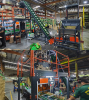 Système d'emballage automatique électrique Focus Machinery pour vis longues, avec fonctions de remplissage et d'étiquetage, pour boîtes en carton de quincaillerie et fixations