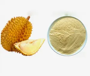 Wholesale Bulk Pure Natural Organic Nutrition Freeze Dried Durian Powder